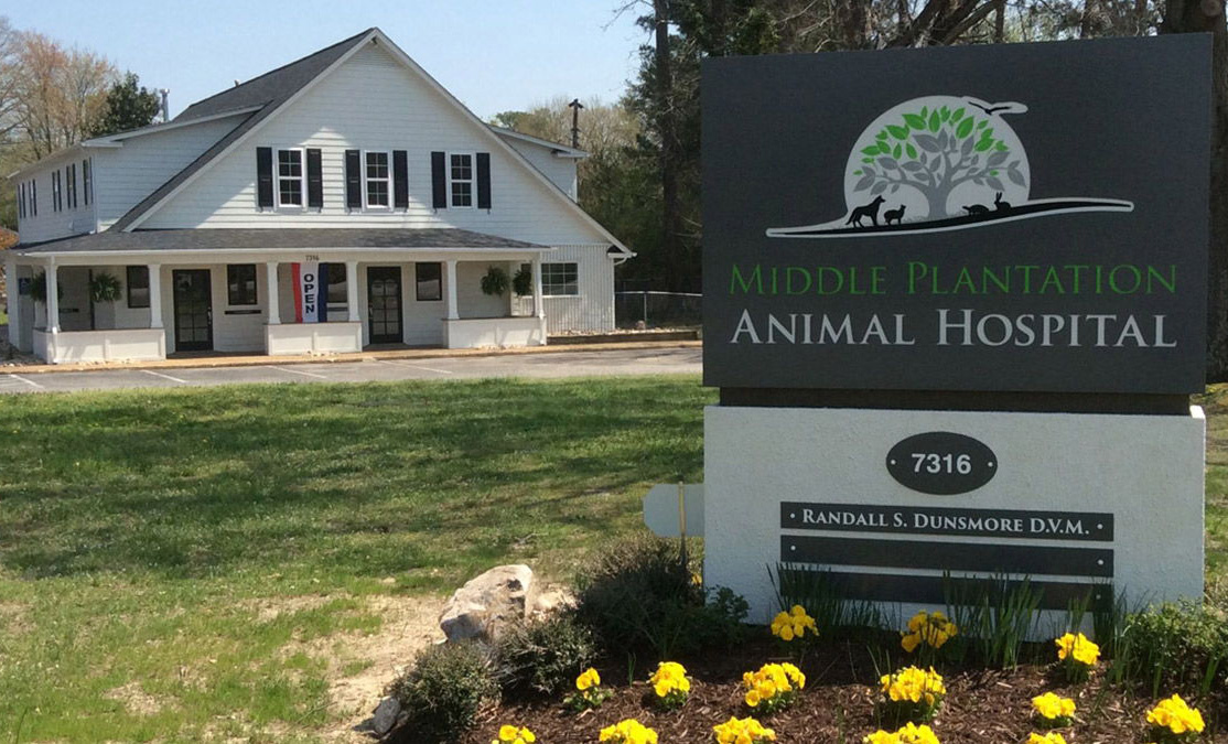 Middle Plantation Animal Hospital | Veterinarians in Williamsburg, VA